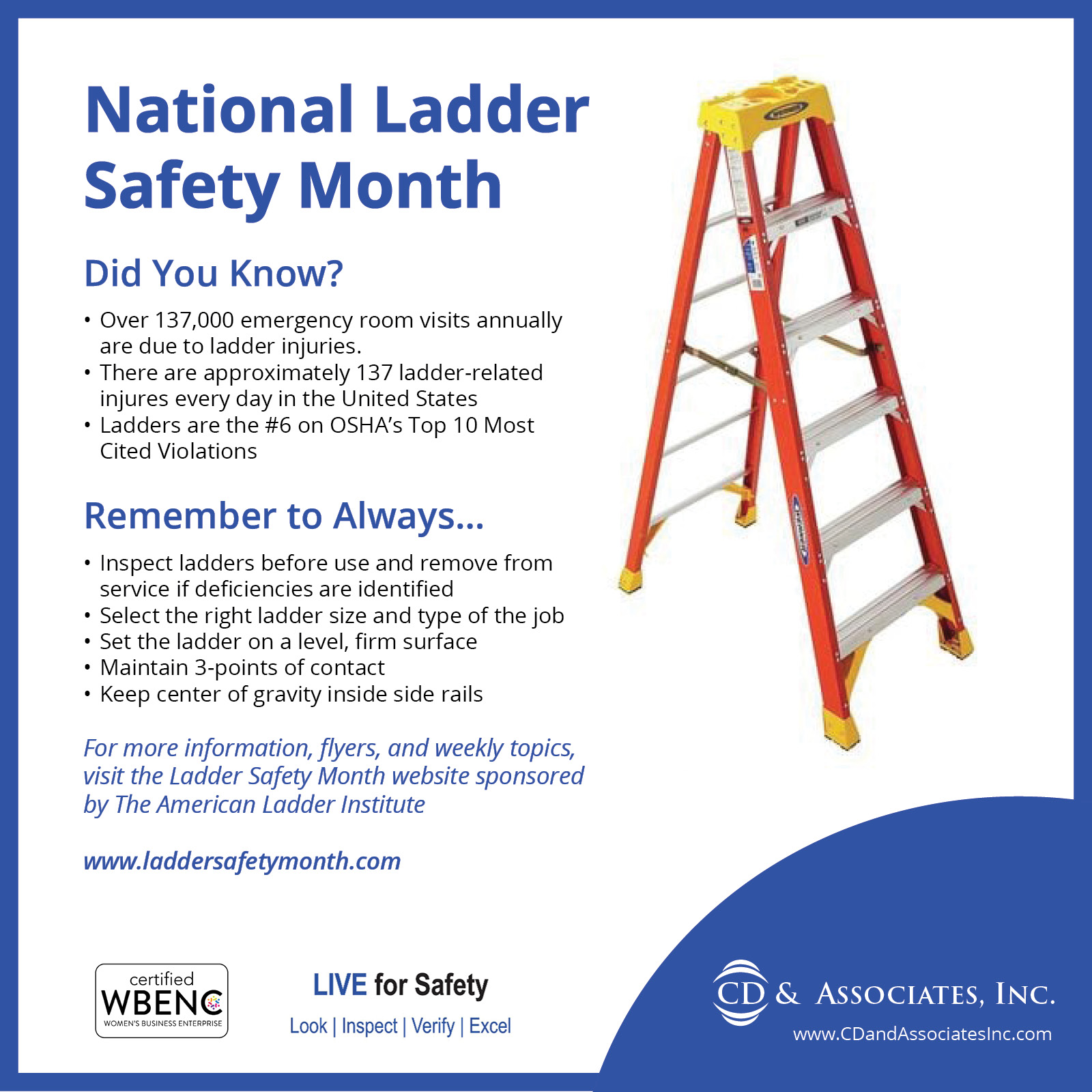 March is National Ladder Safety Month CD & Associates, Inc.
